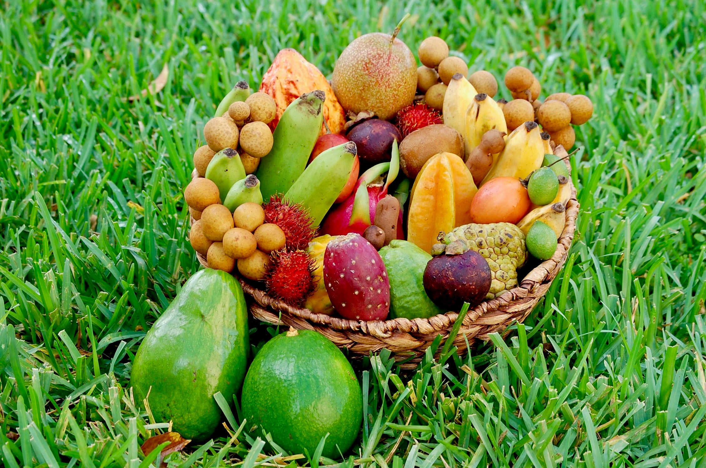 Fresh Fruit Fruits n' Cahoots