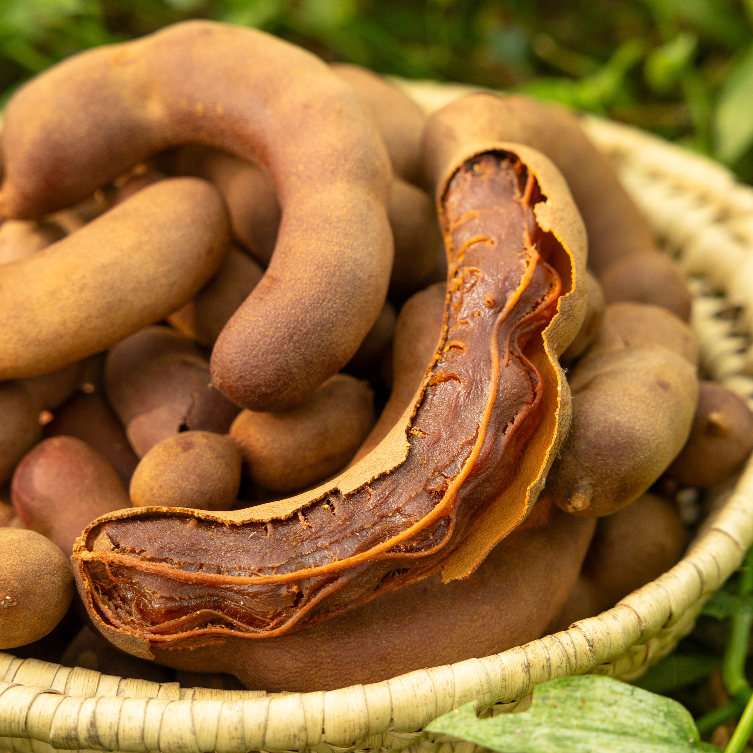 Sweet Tamarind, 1 lb Fruits n' Cahoots