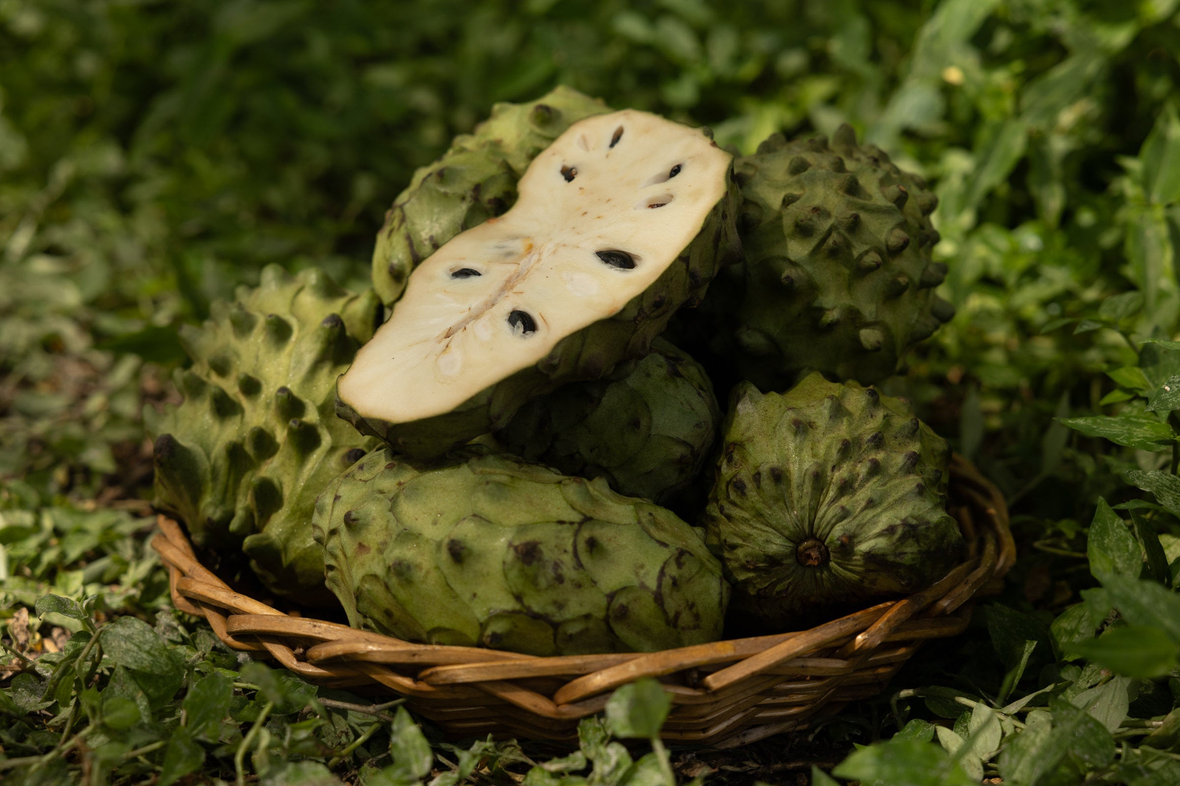 cherimoya 3 lb 45 . 00